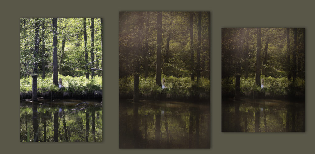 before-after-bauer Bauer redigering Fine art