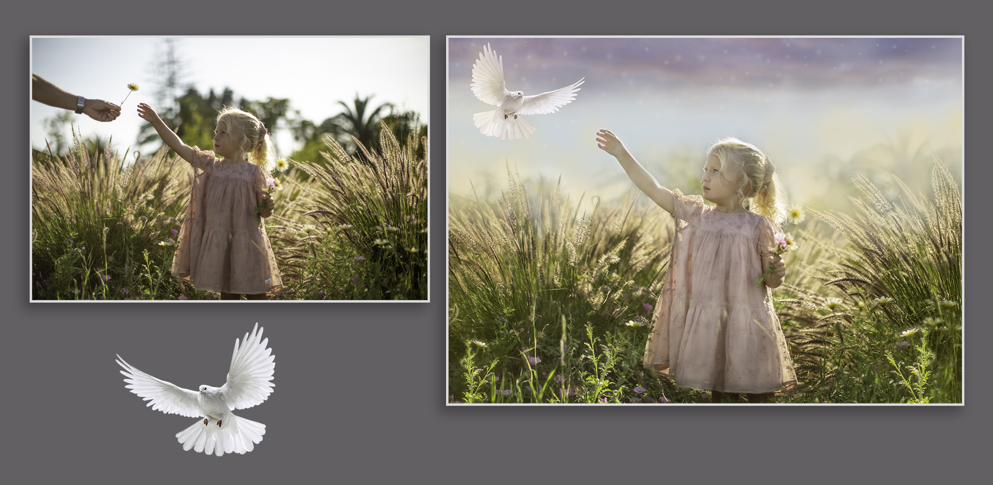 Fairy tail photography photoshop Fineart